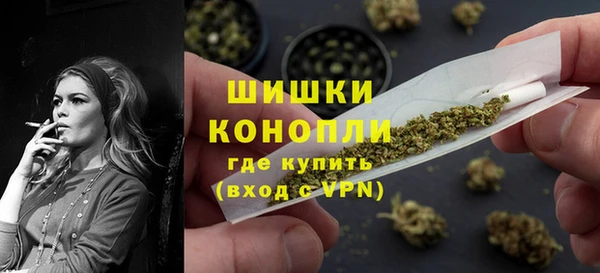 бошки Белокуриха
