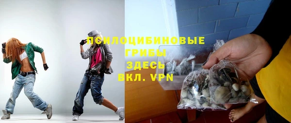 бошки Белокуриха