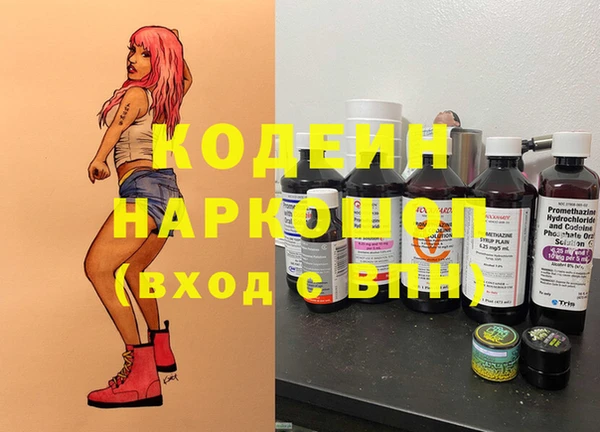 хмурый Пересвет