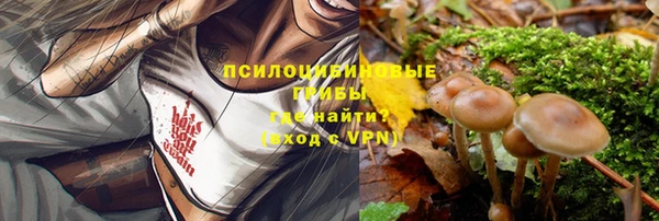 ешки Белоозёрский