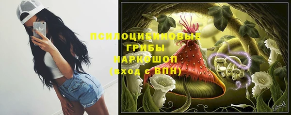 тгк Беломорск