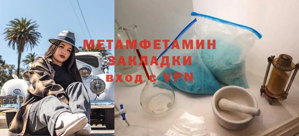 хмурый Пересвет