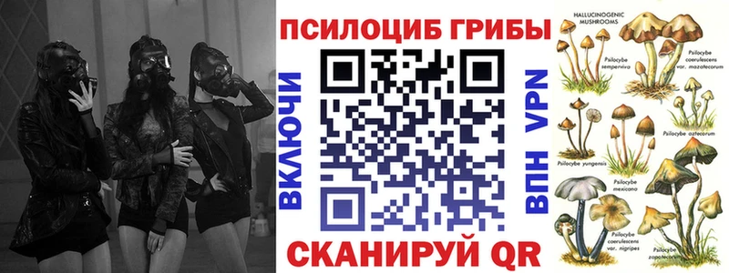 цены   Южа  Псилоцибиновые грибы Psilocybine cubensis 